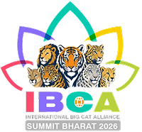 IBCA Logo